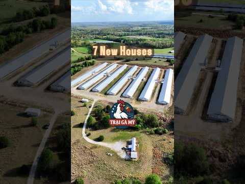7 New Houses Broiler Farm For Sale