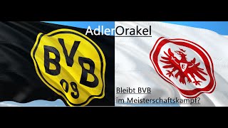 AdlerOrakel 🦅 Borussia Dortmund vs. Eintracht Frankfurt ⚽ Bundesliga, 29  Spieltag
