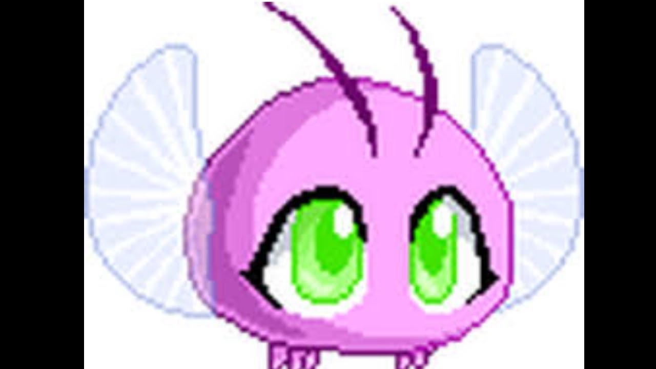 gargoyle gaming prodigy short prodigy is changing their old starter ...