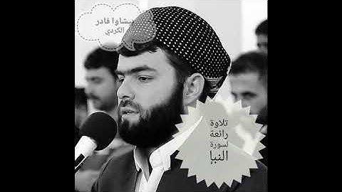 سورة النبإ ، بيشه وا قادر الكردي