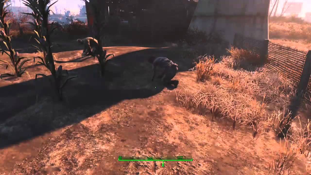 Fallout 4 Failout 4 Broken YouTube