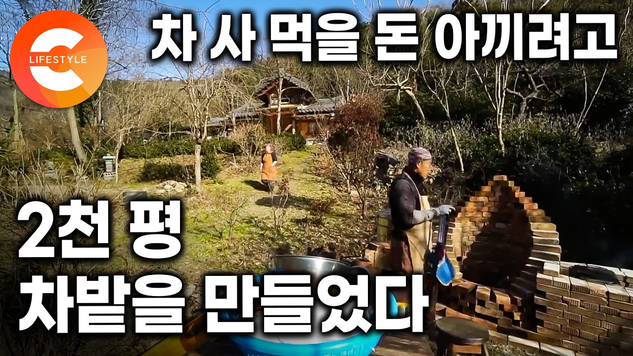 허허벌판 위 집 짓겠다고 먼저 산골로 떠난 남편. 여섯 가구만 남은 마을 꼭대기에 2천 평 차밭을 만들고 집까지 지어 아내를 기다린 남편의 계획ㅣ#한국기행