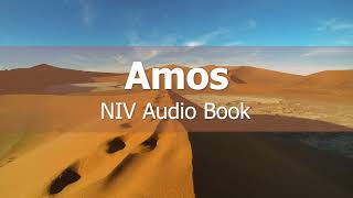 Amos Audio Bible - NIV Dramatized Audio Book with video