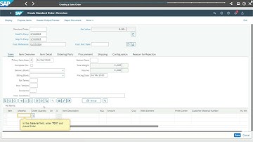 Credit Management - Creating a Sales Order - part 2