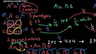 All You Need to Know About Additive Traits in One Video