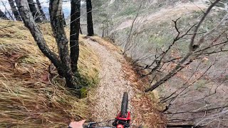 Malga Cuarnan and Gobbe Trail 🇮🇹