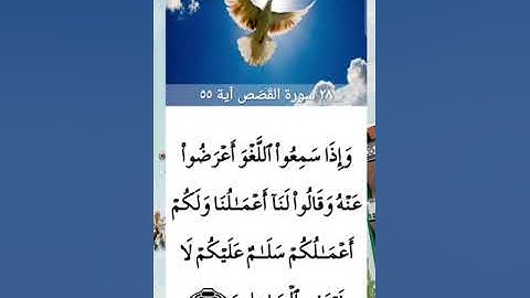 سورة القصص _ ( the Stories ) بصوت الشيخ صلاح بوخاطر ...جودة عالية ...