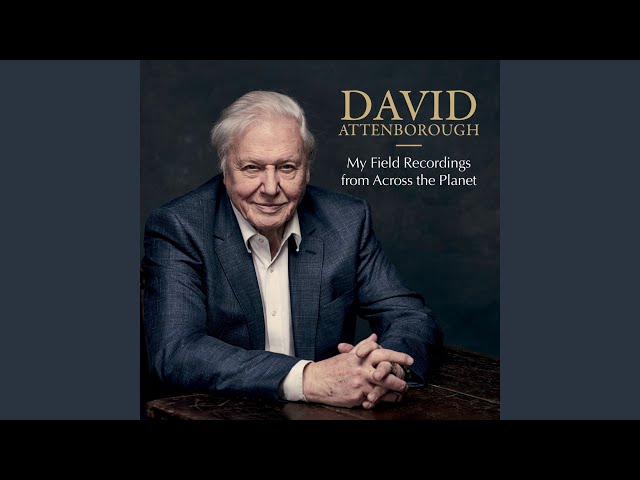 Dyak Marriage Celebration (Men's Dance)