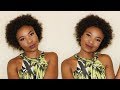 Natural Looking Crochet Afro on Short Natural Hair