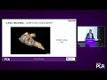 State-of-the-art imaging for structural heart disease interventions - EuroPCR 2022