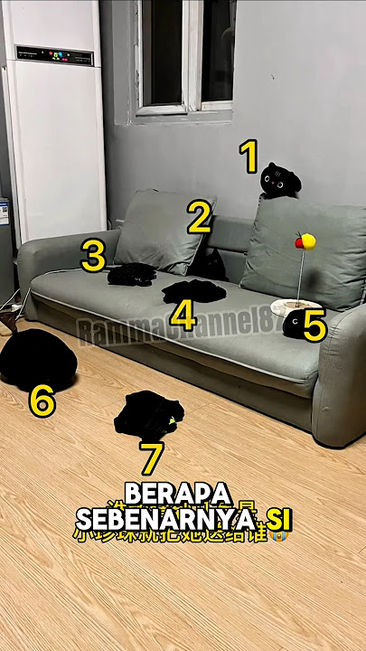Blacki Si Pencuri Ikan Asin! Tapi Sembunyi di Mana?!#shorts#animalscat#kucing