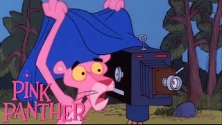 The Pink Panther in 'Pink Pictures'