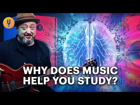 Video: Waarom de wetenschap zegt dat luisteren naar muziek voordat hondenbehendigheidsproeven je kunnen helpen bij het focussen