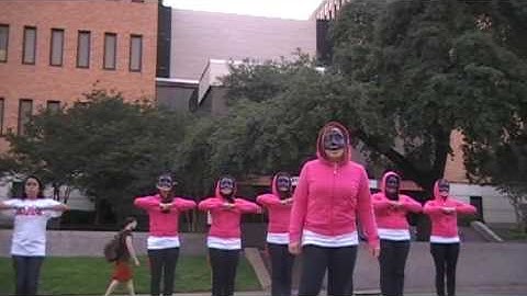 Sigma Lambda Gamma: UT Spring 2009 Probate [4 of 8]