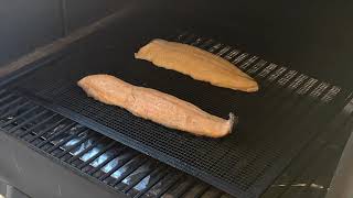 Rainbow Trout on The Grill