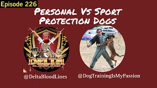 Personal Protection Vs Sport Protection Dog W/ @Truckseatdogteeth  Episode 226