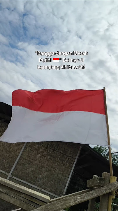Proud of the Red and White! 🇮🇩 #flag #independence #independencedat #17august2025 #indonesia #short
