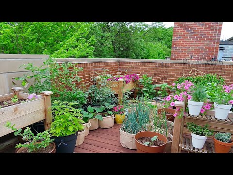 Video: Tuinieren op het dak voor stadsbewoners - Tuinieren weten hoe