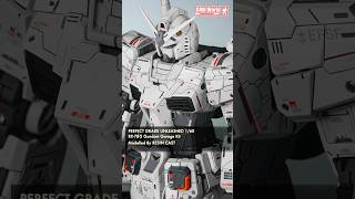 PERFECT GRADE UNLEASHED 1/60 RX-78-2 Gundam Garage Kit - Custom Build(オーガンダム[実戦配備型])