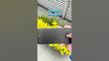 ¿Estás pensando comprar el TCL 40 NXTPAPER? #smartphone #cameratest #celulares