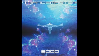 Trancemaster 30   CD 2
