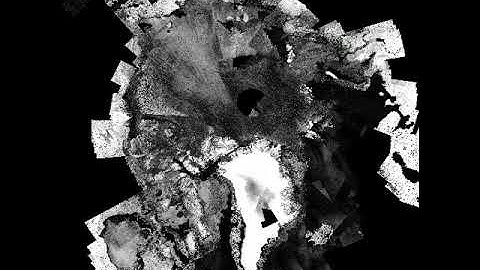 Daily Pan-Arctic sea ice dynamics monitoring using Sentinel-1 SAR images