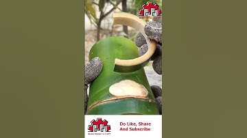 Bamboo Cup Crafting - Sustainable Elegance at Your Fingertips