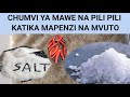 CHUMVI YA MAWE NA PILIPILI KATIKA MVUTO WA MAPENZI NA KUKUBALIKA CHUMVI YA MAWE NA PILIPILI KATIKA MVUTO WA MAPENZI NA KUKUBALIKA