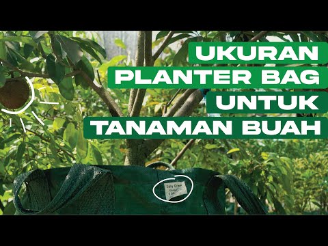 Video: Memilih Wadah Terbaik Untuk Berkebun