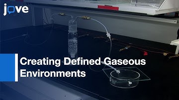 Creating Defined Gaseous Environments: Studying Effects Of Hypoxia On C. elegans l Protocol Preview
