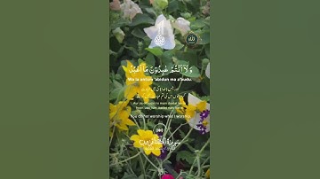 Surah Al-Kafirun – Pure Faith, No Compromise | سورة الكافرون - لا مساومة في التوحيد #quran #allah #