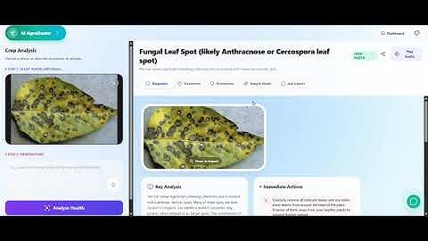 🌱 AI AgroDoctor | Smart Plant Disease Detection App using Gemini 3 Pro (Hackathon Project)