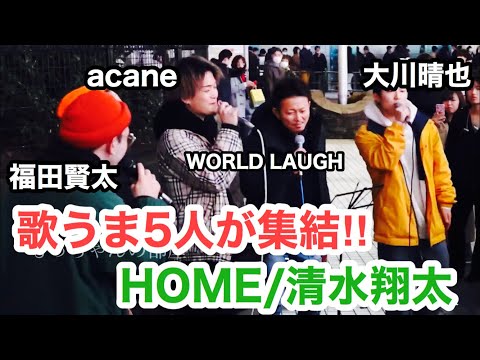 【新宿に一際目立つ人集り】歌うま5人が集結したらやばかった‼︎HOME/清水翔太（acane&福田賢太&大川晴也& WORLD LAUGH 新宿路上ライブ）@acanechannel6604