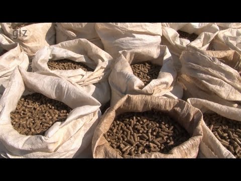 GIZ: De-bushing Namibia: Engaging people. 2015 — firewood excerpt