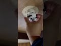 【立派なシャンデリアを交換して　大口町】明るいLEDシーリングライト　#Shorts