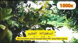 Cukup dengarkan dan ikuti istiqfhar 1000 kali sehari!!! zikir penghapus dosa-dn pembuka rizqi