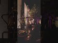 برد الشتاء يذبح المجروح