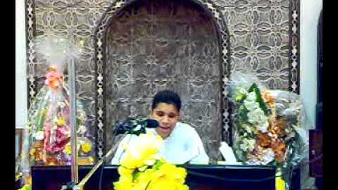 أحمد صالح سورة النمل