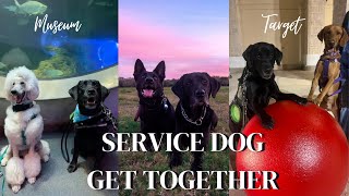 Service Dog Meet Up || Science Museum Edition