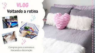 Vlog: Compras no Mercado, Mudança de Decoração e Voltando à Rotina