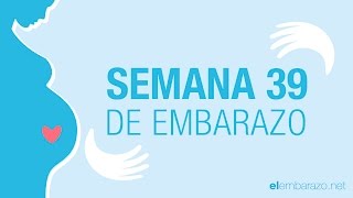 Semana 39 de embarazo | 39 semanas de embarazo | El embarazo semana a semana