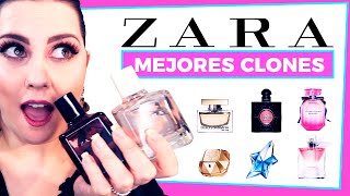 💎 Clones perfumes Zara | Inspiraciones alta gama - YouTube