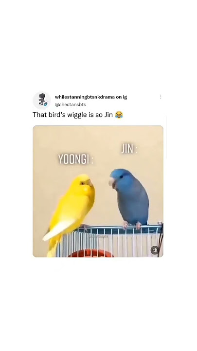 that bird's wiggle is so Jin we miss you Jin💜🐹 #jimin #jungkook #v #jhope #suga #rm #jin