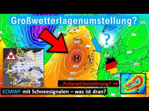 Video: Watter state benodig modderlappe?