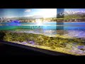 魚津水族館1 の動画、YouTube動画。