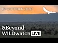 WILDwatch Live | 19 October, 2020 | Afternoon Safari | South Africa