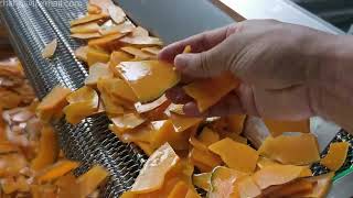Pumpkin Chips Washing Blanching Frying Line Pumpkin Slice Machine Pumpkin Processing Plant