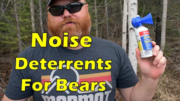 Will an air horn scare away a bear?