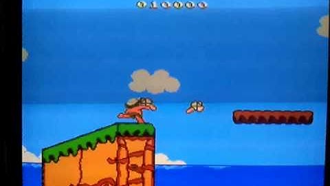 Adventure Island 2 on Terminator nes Famiclone