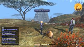 FFXIV Patch 1.21 Paladin Unlock Quest - Paladin's Pledge FFXIV Patch 1.21 Paladin Unlock Quest - Paladin's Pledge